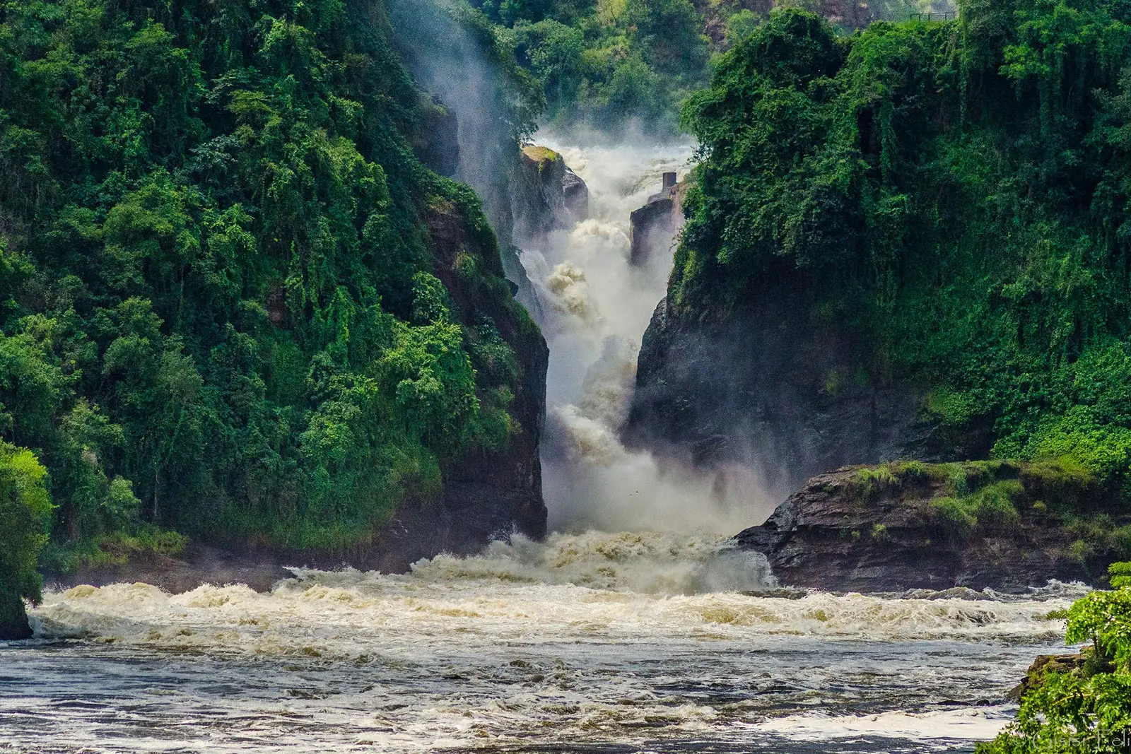 4 Days Ultimate Murchison Falls Safari
