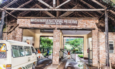 Grand East Africa Safari (Uganda, Rwanda, Kenya, Tanzania)